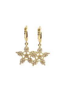 Oorbellen Star