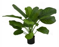 Kunst Plant groot blad