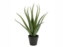Kunstplant Aloe Vera
