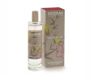 Roomspray Esprit de Thé