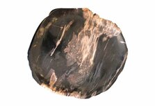 Plateau versteend hout | Naturel - Zwart