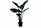 Kunstplant Alocasia