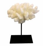 Koraal off white medium